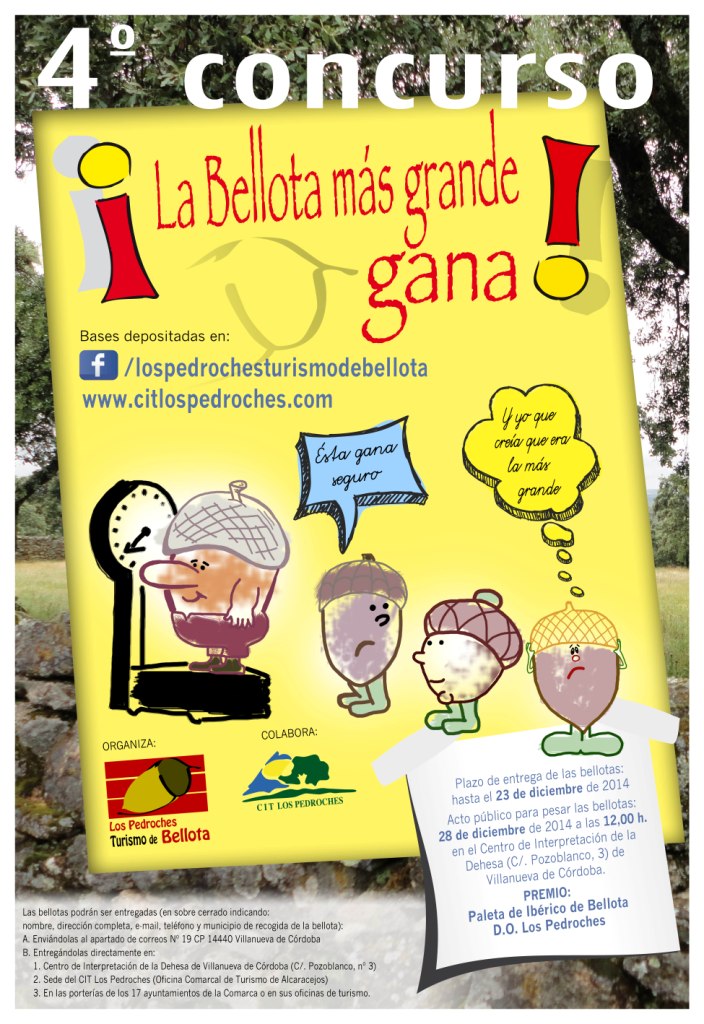 bellota