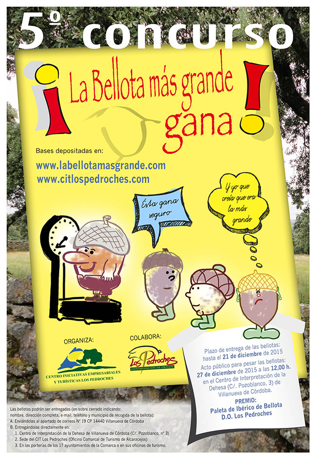 la-bellota-mas-grande-gana