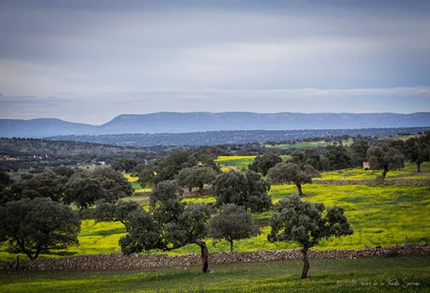 Dehesa Los Pedroches