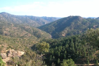 Parque Natural de Cardeña y Montoro