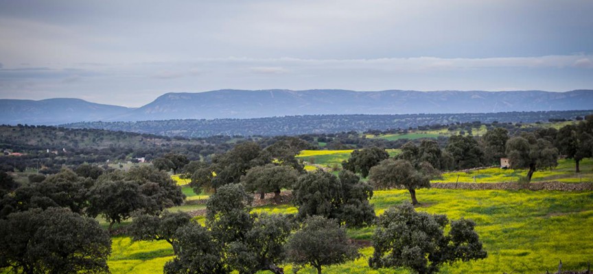 Resultado de imagen de Valle de los Pedroches (Caminos)