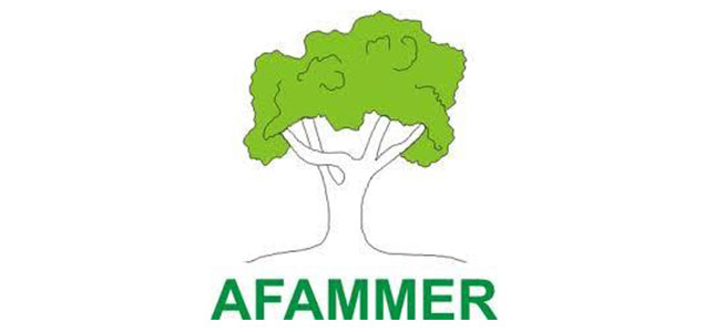 AFAMMER