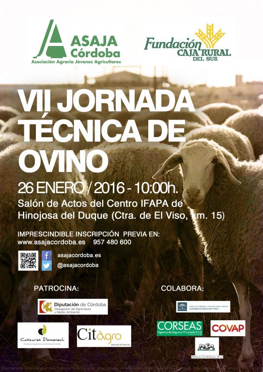 Asaja organiza la VIII Jornada Técnica de Ovino en Hinojosa del Duque