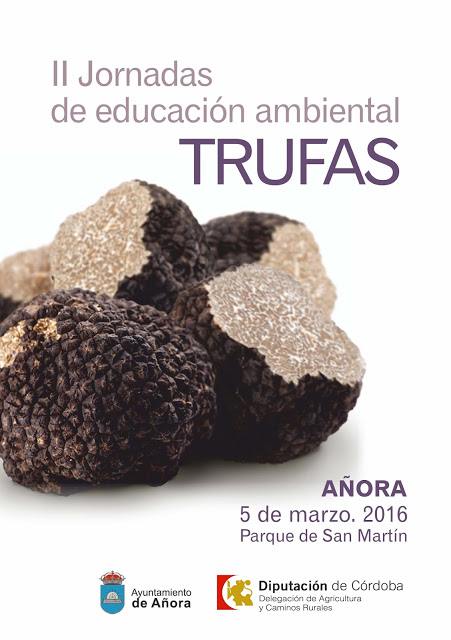 II jornada de educación ambiental