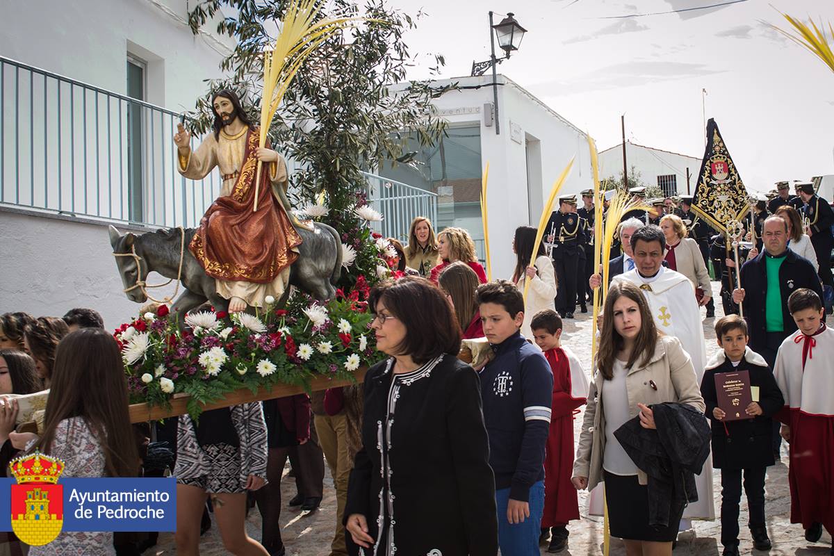 Domingo de Ramos - Pedroche