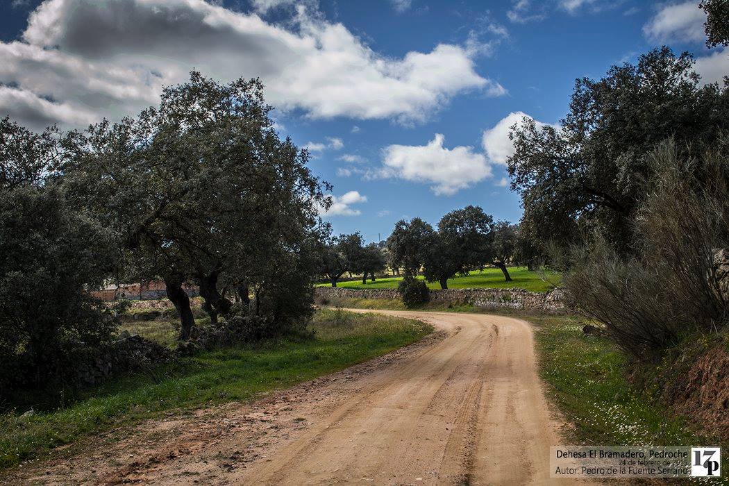 Caminos