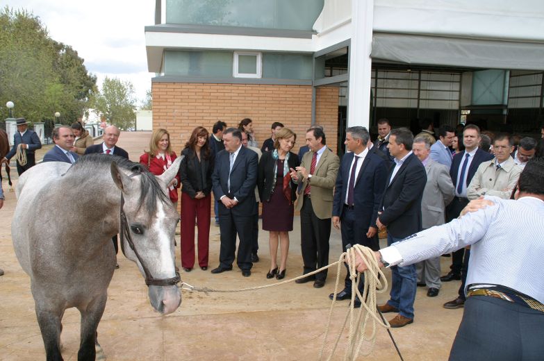 Feria Agroganadera