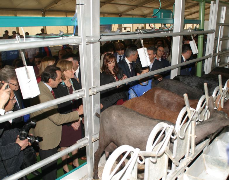 Feria Agroganadera