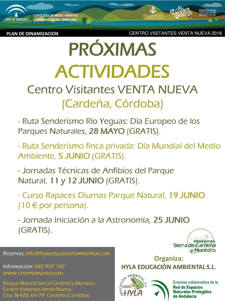 Actividades