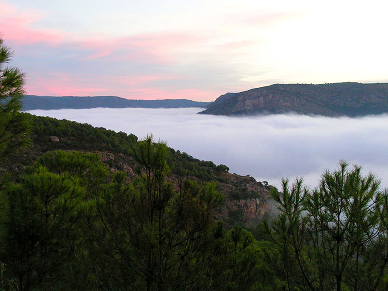 Cuenca del río Yeguas