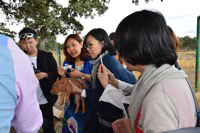 Periodistas y blogueros chinos visitan Los Pedroches