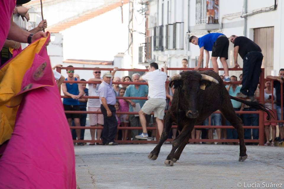 Feria