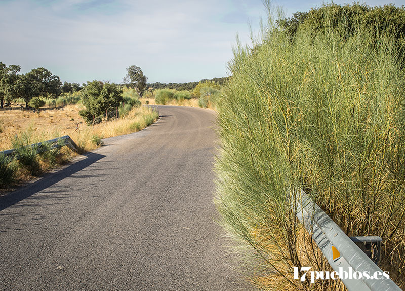 Carretera Villanueva de Córdoba - Pedroche