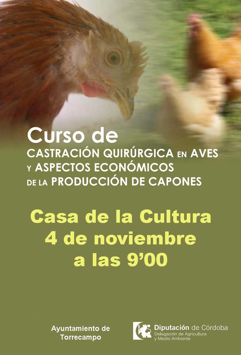 Castración quirúrgica en aves