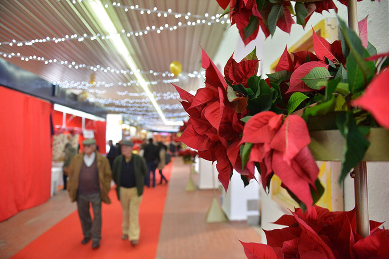 Mercado Navideño