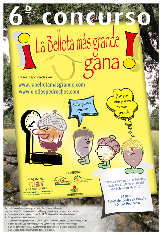 La bellota más grande