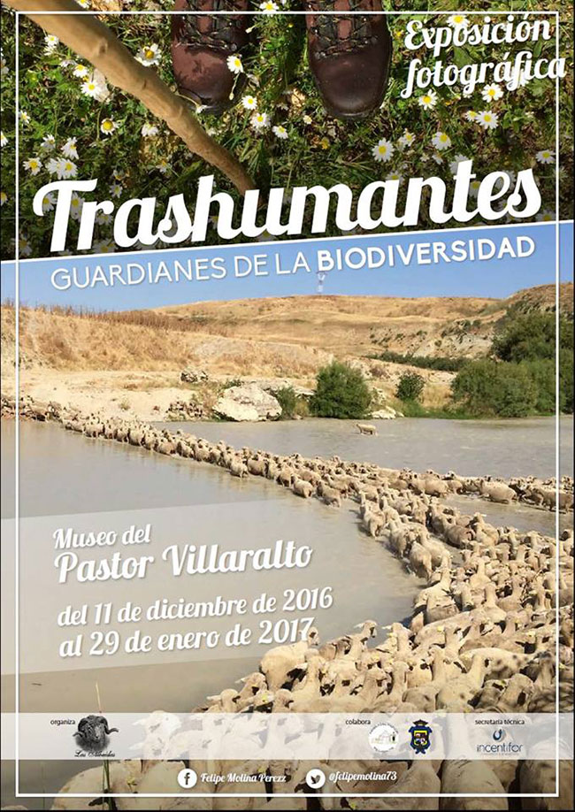 Trashumantes. GUARDIANES DE LA BIODIVERSIDAD