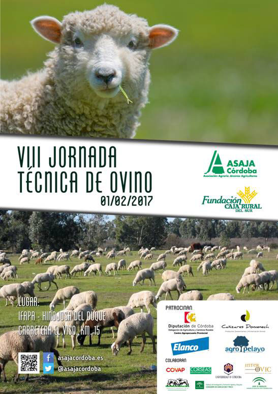 Jornada Técnica de Ovino