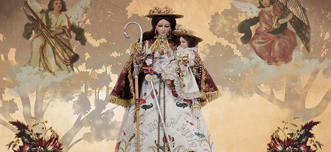Romería y Fiestas Patronales en honor a la Santísima Virgen de la Antigua 2017