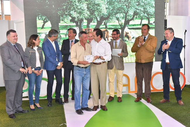 Concurso