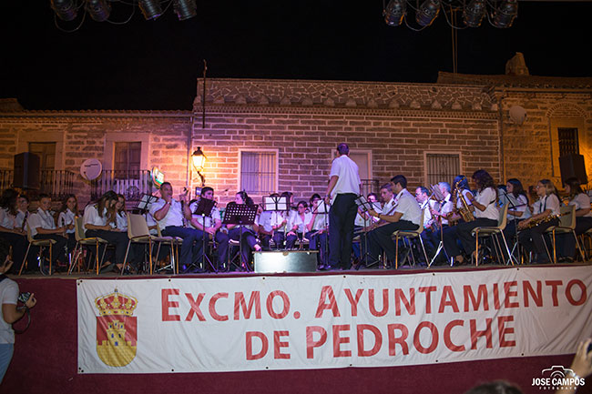 Certamen Local de Formaciones Musicales, Pedroche