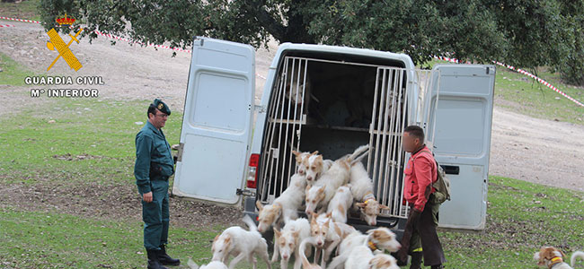 Operación Sierra