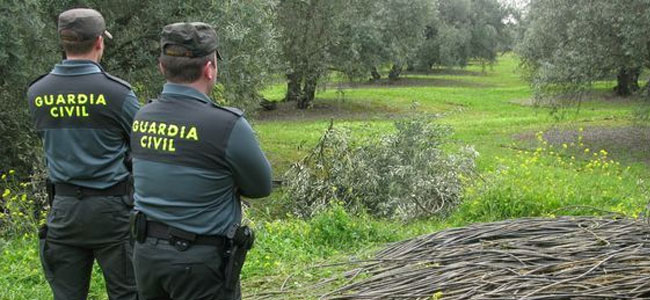 Guardia Civil