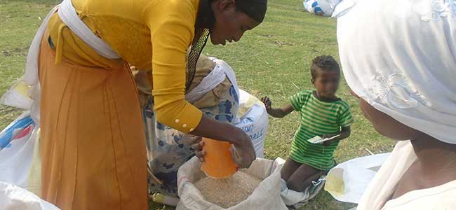 Hinojosa del Duque, El Viso y Belalcázar se unen a Cruz Roja para mejorar la seguridad alimentaria en Etiopía