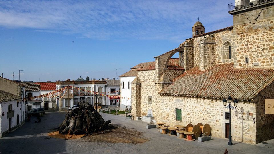 Más de 100 toneladas de troncos de encina arderán en la Candelaria de Dos Torres