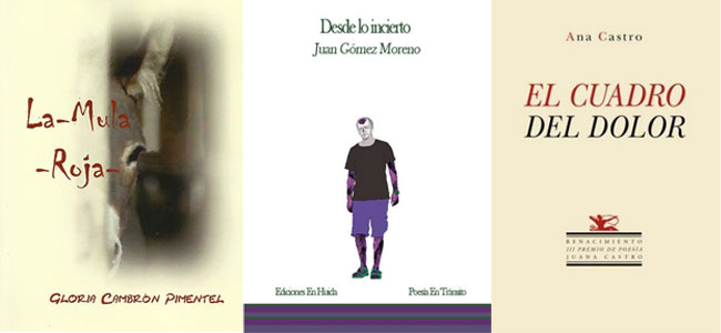 El Premio Solienses apuesta este año por autores noveles