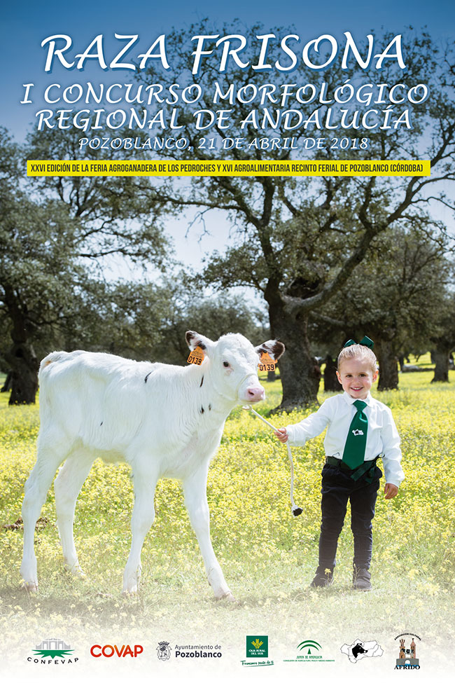 El I Concurso Morfológico Regional de Andalucía de la Raza Frisona se estrenará con 15 ganaderías