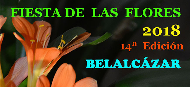 Llega la Fiesta de las Flores a Belalcázar