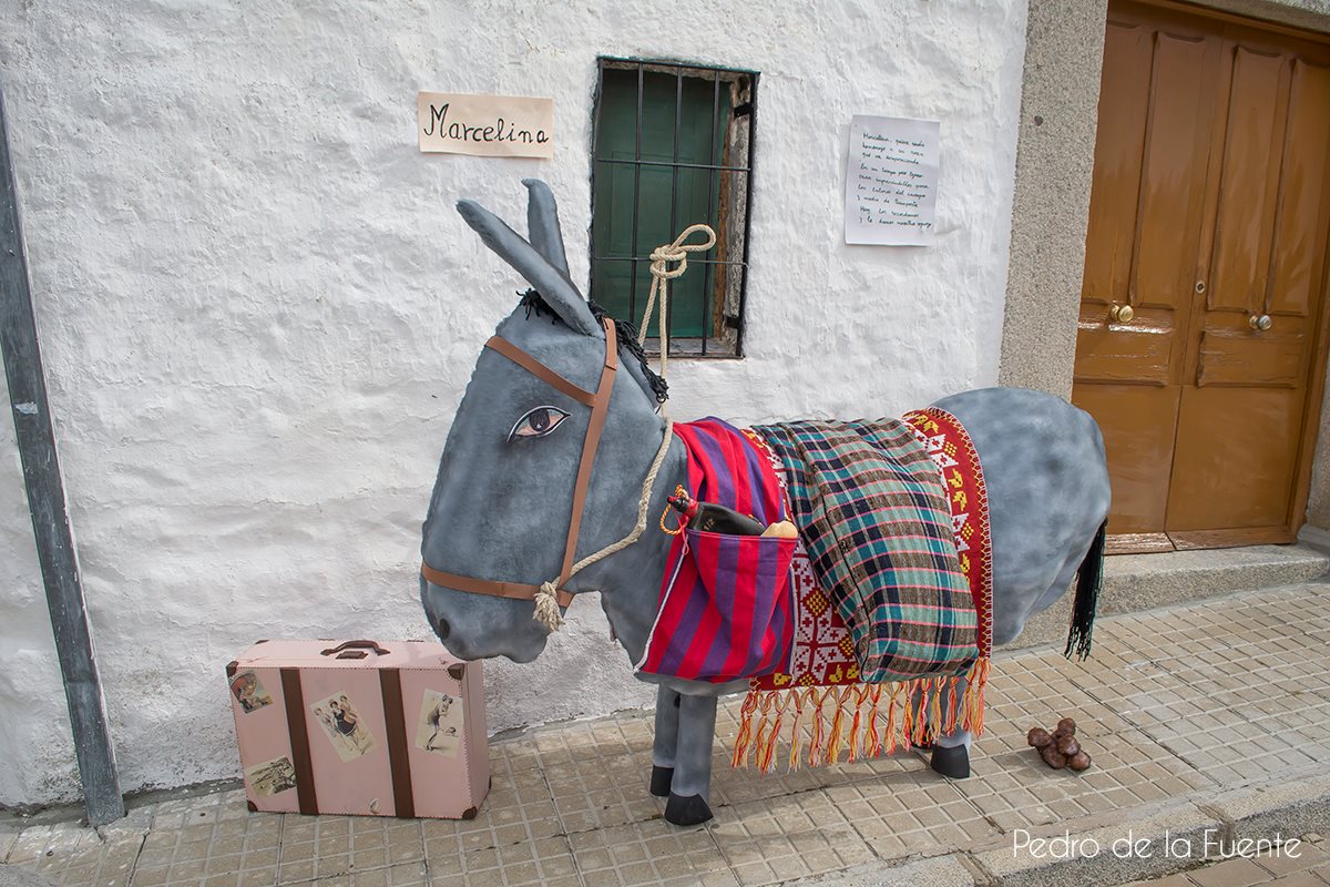 Mayos 2018, Pedroche