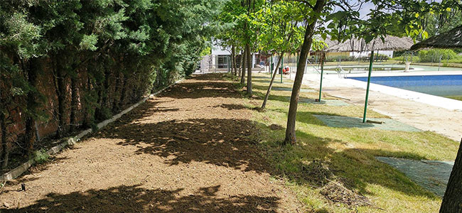 Obras de mejora en la piscina municipal de Villaralto