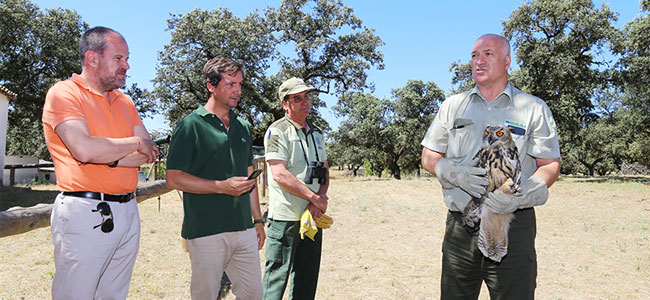 Liberados dos ejemplares de búho real en el Parque Natural Sierra de Cardeña y Montoro