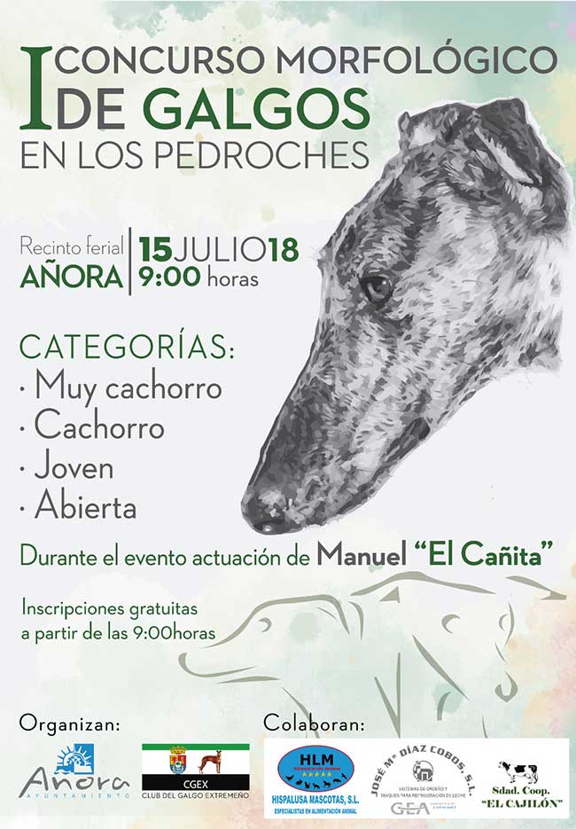 I Concurso morfológico de Galgos en Los Pedroches