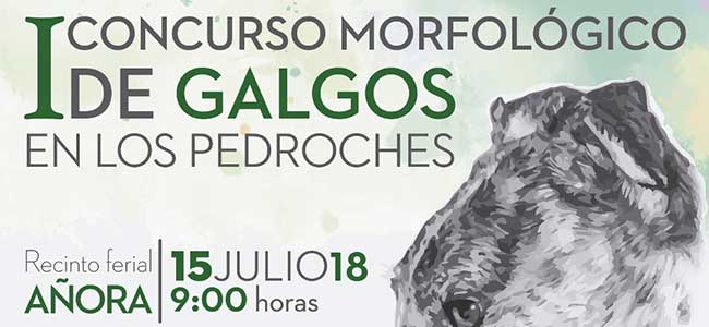 I Concurso morfológico de Galgos en Los Pedroches