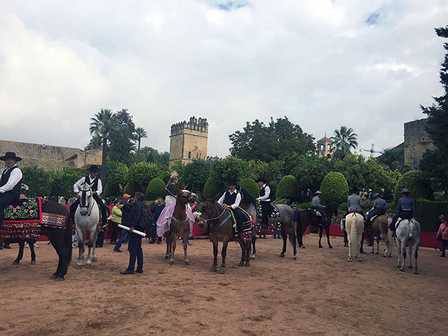 Pedroche promociona la Fiesta de los Piostros en la II Feria Internacional de Turismo Ecuestre