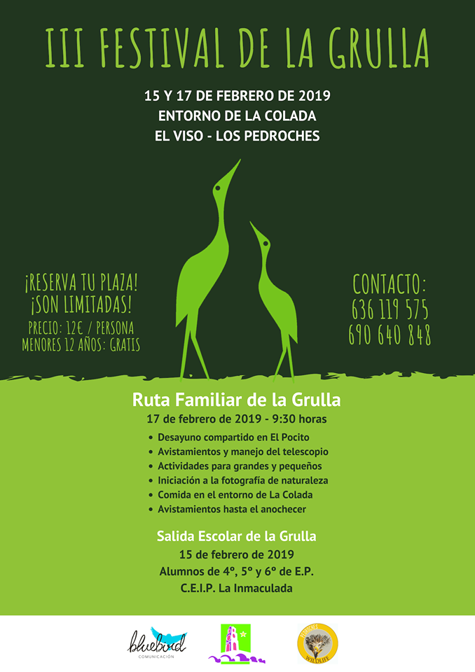 Llega el III Festival de la Grulla a El Viso