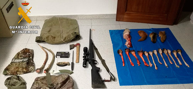 La Guardia Civil investiga en Villanueva del Duque a dos personas como supuestas autoras de un delito contra la fauna