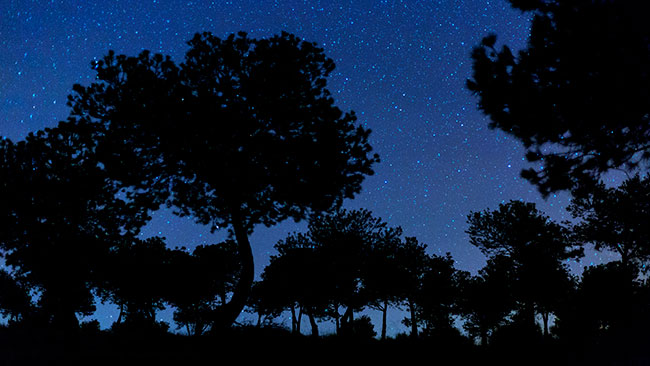 Cielo, Reserva Starlight Los Pedroches