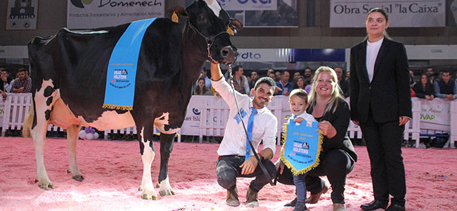 Éxito de público en las dos jornadas de la XII Feria del Ganado Frisón