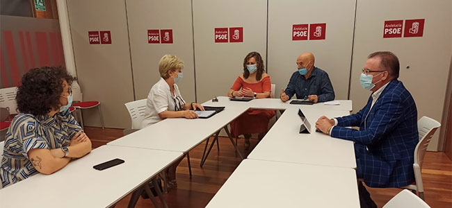 El PSOE de Córdoba traslada a ‘Que Pare el Tren en Los Pedroches’ que la reposición de trenes se hará de forma paulatina