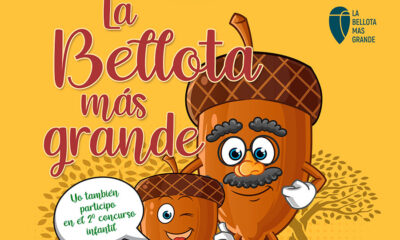 El CIET Los Pedroches organiza el Concurso de la Bellota más grande de la dehesa