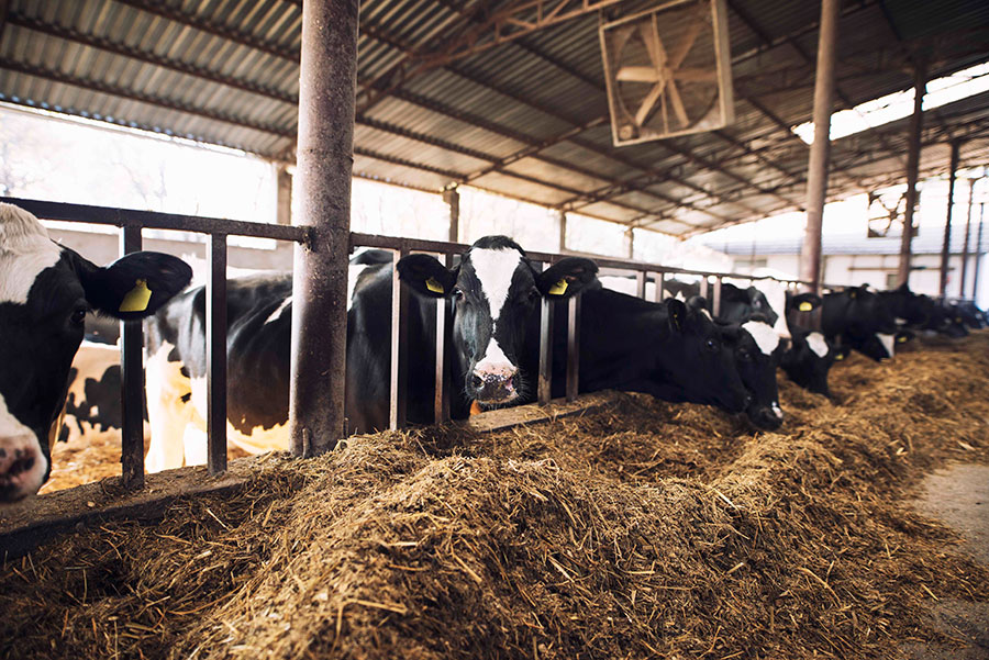 Un proyecto pionero en economía circular agraria y energía comunitaria en Los Pedroches