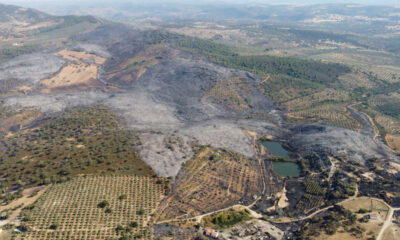 Incendio Calatraveño