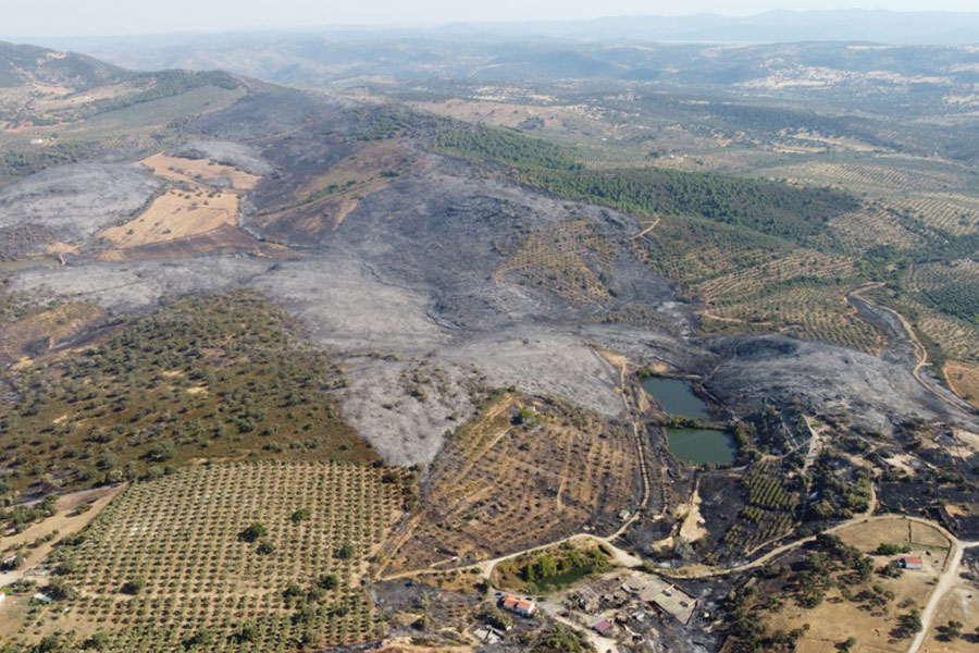 Incendio Calatraveño