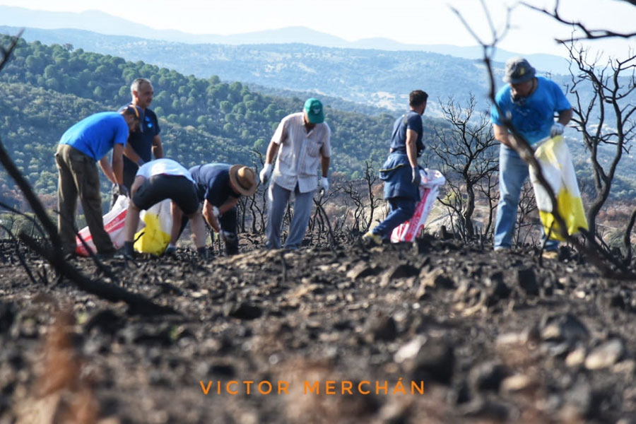 Recogida de residuos para recuperar el entorno del Puerto Calatraveño