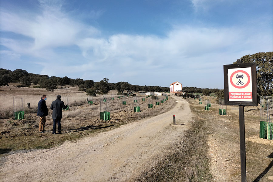 La Delegación de Medio Natural de la Diputación interviene en Villanueva del Duque e Hinojosa del Duque en el marco del PFEA