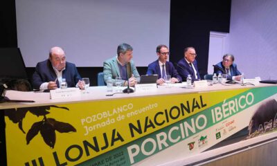 La III Lonja Nacional del Porcino Ibérico se celebra en Pozoblanco en un momento complicado para el sector